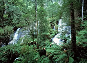 Twins: Australia - Twins waterfalls in the Otway National