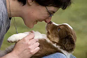 Tranquillity: Australian Shepherd Puppie and its boss France