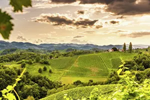 Wine: Austria, south styria travel destination. Tourist