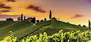Wine: Austria, south styria travel destination. Tourist