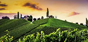 Wine: Austria, south styria travel destination. Tourist