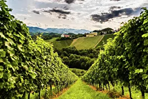 Wine: Austria, south styria vineyards travel destination