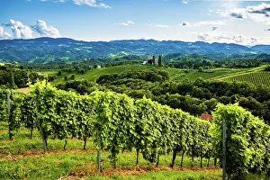 Wine: Austria, south styria vineyards travel destination