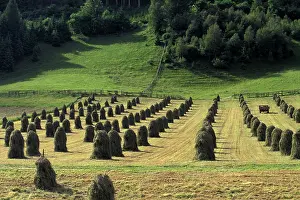 Haystack: Austria, Tyrol, Inssbruck, Aldrans. Haystacks