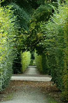 Walkway: Austria, Vienna. Maria Theresa's baroque