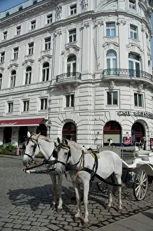 Cafe: Austria, Vienna. Popular traditional horse-drawn