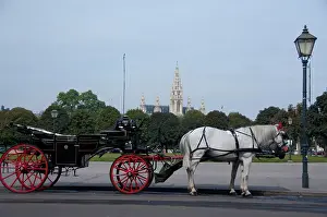 Classic: Austria, Vienna. Popular traditional horse-drawn
