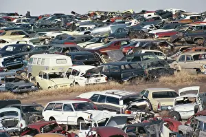 Auto: Automobile Junk Yard