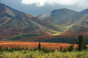 Autum: Autum landscape with mountain range in the background
