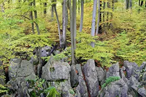 Natur: Autumn atmosphere in the rugged rocky landscape