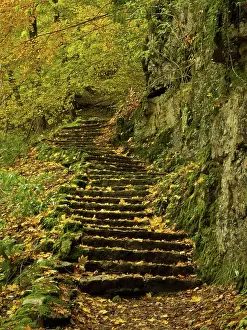 Stair: Autumn atmosphere, stairs, Urach waterfall, Swabian