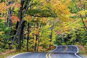 Canopy: Autumn canopy of color along Highway 41
