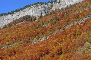 Cirque: Autumn colors in the Cirque du Fer a Cheval, Haute