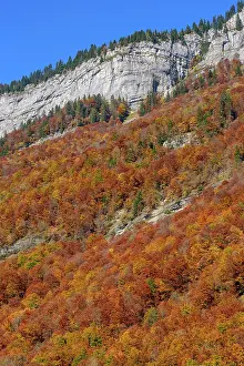 Cirque: Autumn colors in the Cirque du Fer a Cheval, Haute