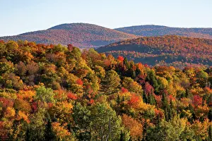 Townships: Autumn colors, mixed Deciduous Coniferous forest