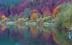 Weser: Autumn Colour - along the banks of the river Weser