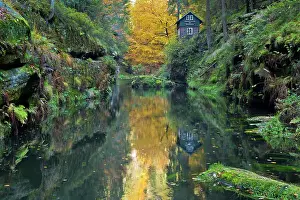 Zone: Autumn in the Edmundsklamm gorge with the river