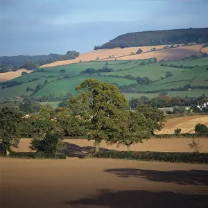 Undulating: Autumn farmland, Devon, UK