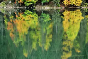 Plagne: Autumn forest reflected in lake
