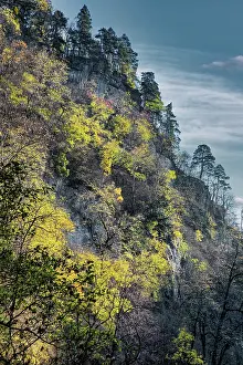 Erode: Autumn in Guam gorge, Krasnodar krai, Russia, Europe
