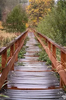 Railing: Autumn hiking trail in the Harz Mountains