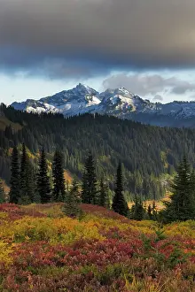 Danita Delimont: Autumn hues with the Tatoosh Range in Mount Rainier National