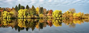 Berlin: Autumn landscape in the north of Berlin, Berlin