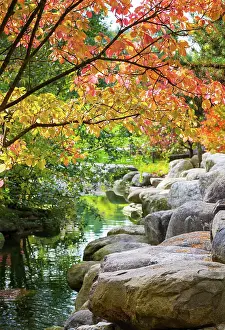 Berlin: Autumn landscape in a small park, Berlin, Germany
