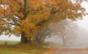William: Autumn landscape, Vermont, USA