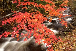 Exposure: Autumn landscape, Vermont, USA