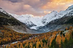 Canton: Autumn larch forest in front of Morteratsch glacier