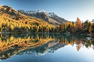 Engadin: Autumn larch forest reflected in the mountain lake