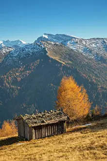 Stubai: Autumn larch meadows, behind Olperer, Fuistein