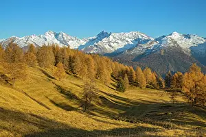 Stubai: Autumn larch meadows, behind Olperer, Fuistein