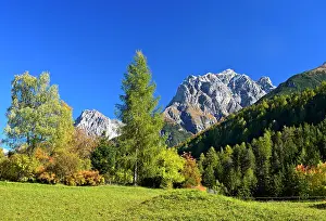 Howse: Autumn on a mountain pasture in The Engadin, Vulpera