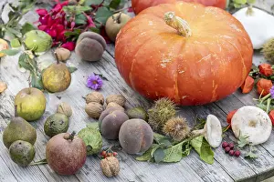 Prunus: Autumn table in a garden, Pas de Calais, France