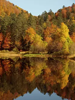 Autumn Trees - and reflections in the lake