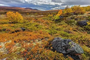 190422: Autumn tundra - mountain landscape with colourful autumn tun