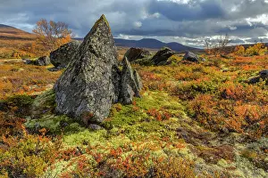 Distinctive: Autumn tundra - mountain landscape with distinctive rocks si