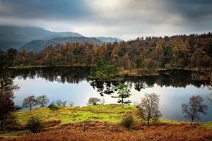 Cumbria: Autumnal forest landscape with reflection in lake