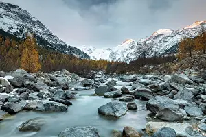 Bernina: Autumnal larch forest and stream in the valley of