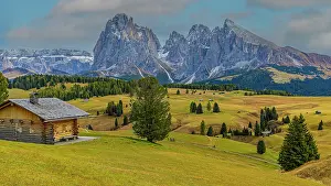 Cabin: Autumnal meadows and alpine huts on the Alpe di