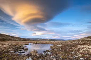 Sunndalsfjella: Autumnal Tundral landscape in Dovrefjell at evening