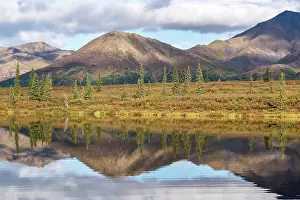 Refle: Autumnal tundral landscape reflected in lake, Alaska