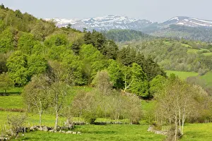 Cantal: The Auvergne in spring, looking towards the Monts du Cantal