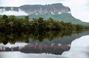 Tepui: Auyantepui (Auyantepuy, Devil's Mountain) from Carrao River