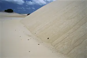 Mobile: Avalanche Chutes on Sand