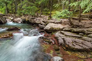 Avalanche: Avalanche Creek in Glacier National Park
