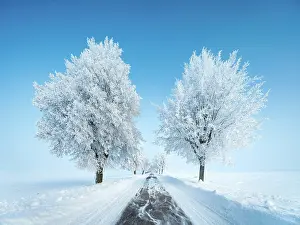 Burgenlandkreis: Avenue through deep snowy cold winter landscape