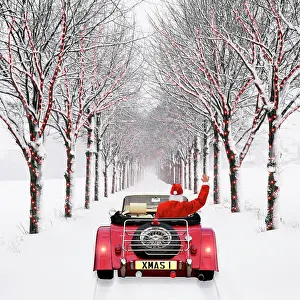 Avenues: Avenue of Trees - with Father Christmas driving